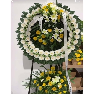 �ɺ�¶��-�ջ������ʣ��ٺϣ���Ҷ��������ͼ���ƣ����ֱ��1�ף������ԼΪ1.6������<˫������Ȧ>