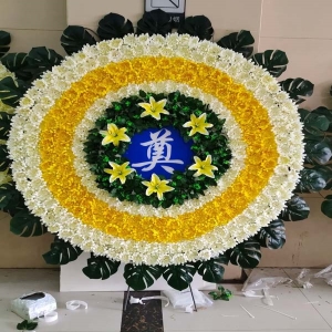 ����׷��-�ջ����ٺϡ���Ҷ��������ͼ���ƣ����ֱ��1�ף������ԼΪ1.6������<����Ȧ>